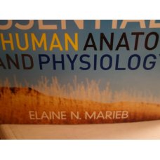 Essentials of Human Anatomy and Physiology  E. Marieb