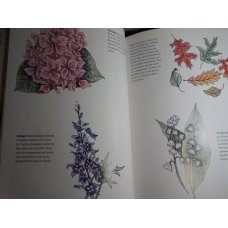 Forever Flowers: A Flower Lovers Guide, Bernice Peitzer