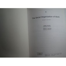 The Social Organization of Work, Randy Hodson 4th Ed